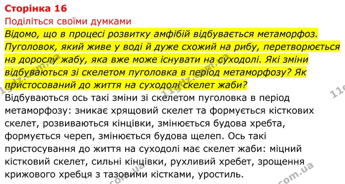 Стор. 16 — 1 — ГДЗ Біологія 8 клас Тагліна — ГДЗ Біологія 8 клас Тагліна