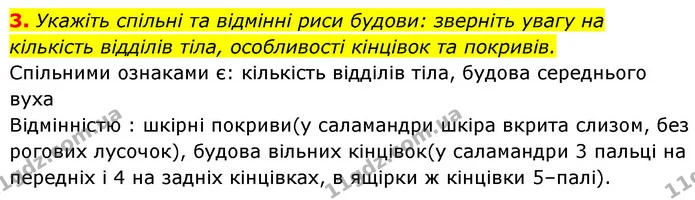 3. Укажіть спільні та відмінні риси будови: зверніть увагу на кількість відділів тіла, особливості кінцівок та покривів. — ГДЗ Біологія 7 клас Тагліна