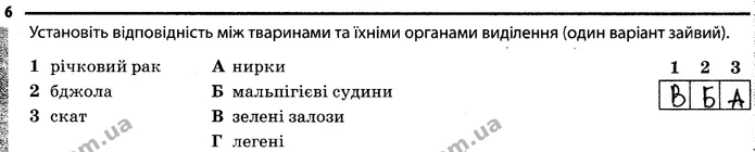 Стор. 38 — 6 — ГДЗ Робочий зошит Біологія 7 клас Задорожний — ГДЗ Робочий зошит Біологія 7 клас Задорожний