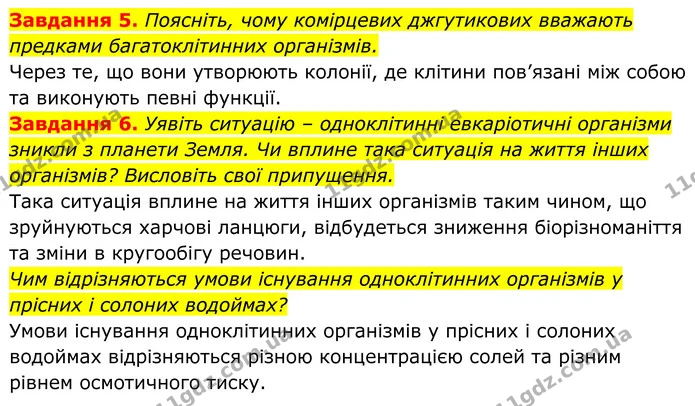 5. Поясніть, чому комірцевих джгутикових вважають предками багатоклітинних організмів. — ГДЗ Робочий зошит Біологія 7 клас Мирна 2024