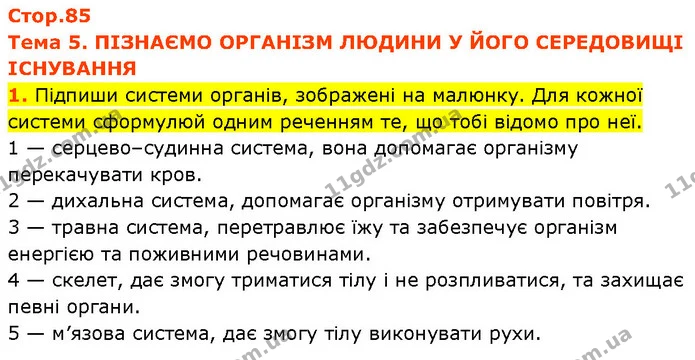 Стор. 85 — 1 — ГДЗ Робочий зошит Пізнаємо природу 6 клас Коршевнюк — ГДЗ Робочий зошит Пізнаємо природу 6 клас Коршевнюк