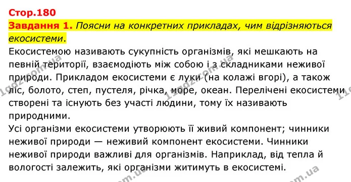 Стор. 180 — 1 — ГДЗ Пізнаємо природу 6 клас Коршевнюк — ГДЗ Пізнаємо природу 6 клас Коршевнюк