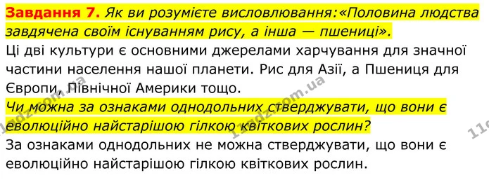 7. Як ви розумієте висловлювання:«Половина людства завдячена своїм існуванням рису, а інша — пшениці». — ГДЗ Робочий зошит Біологія 7 клас Мирна 2024