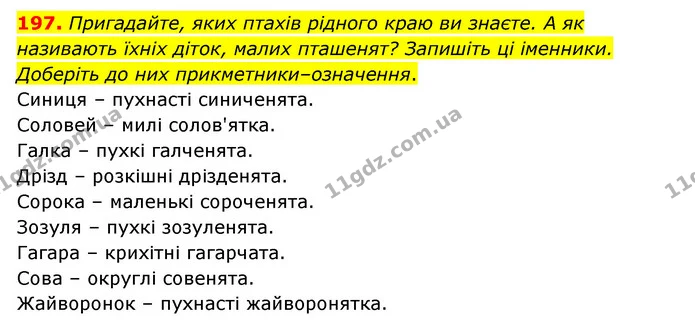 197. Пригадайте, яких птахів рідного краю ви знаєте. А як називають їхніх діток, малих пташенят? Запишіть ці іменники. Доберіть до них — ГДЗ Українська мова 6 клас Голуб 2023