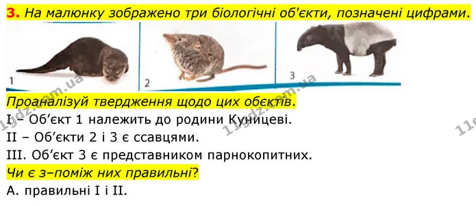 3. На малюнку зображено три біологічні об'єкти, позначені цифрами. — ГДЗ робочий зошит Біологія 7 клас Тагліна