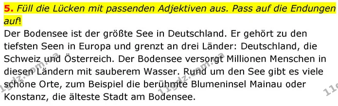 5. Füll die Lücken mit passenden Adjektiven aus. Pass auf die Endungen auf! — ГДЗ робочий зошит Німецька мова 8 клас Басай