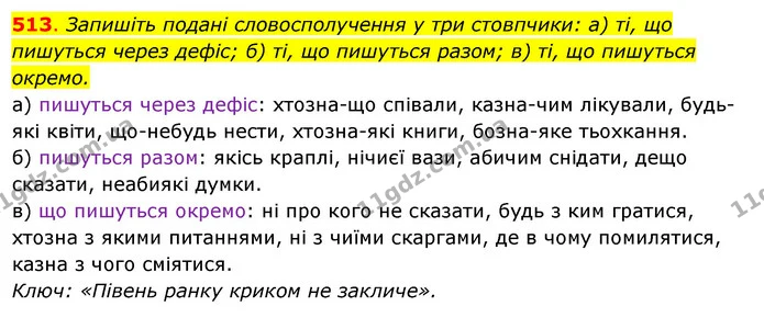 513. Запишіть подані словосполучення у три стовпчики: а) ті, що — ГДЗ Українська мова 6 клас Ворон, Солопенко