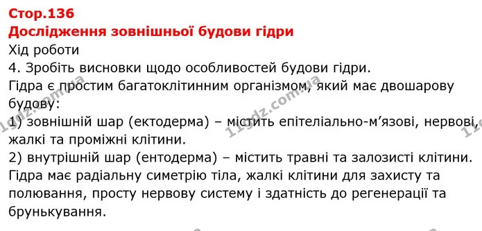 Дослідження зовнішньої будови гідри — ГДЗ Біологія 7 клас Тагліна