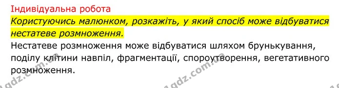 Стор. 208 — 2 — ГДЗ Біологія 8 клас Тагліна — ГДЗ Біологія 8 клас Тагліна