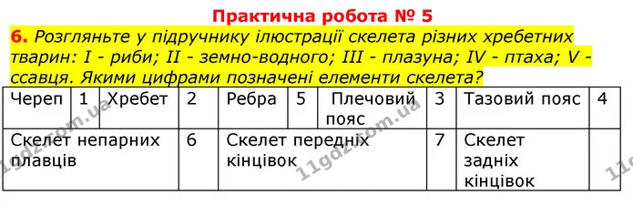 Стор. 69 — 7 — ГДЗ Робочий зошит з Біології 7 клас Яременко — ГДЗ Робочий зошит з Біології 7 клас Яременко