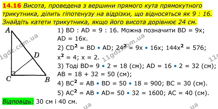 14.16 Висота, проведена з вершини прямого кута прямокутного — ГДЗ Геометрія 8 клас Істер