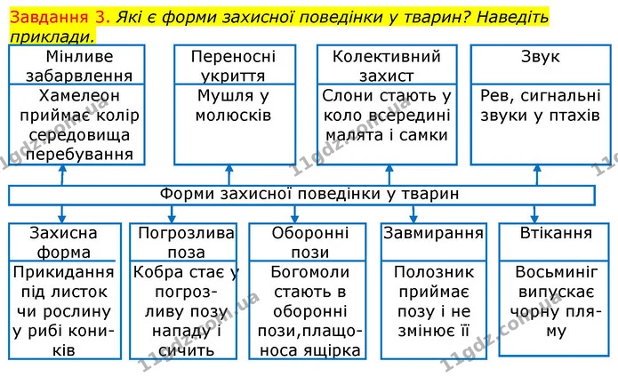 Стор. 86 — 3 — ГДЗ Робочий зошит з Біології 7 клас Яременко — ГДЗ Робочий зошит з Біології 7 клас Яременко