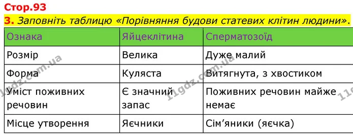 3. Заповніть таблицю «Порівняння будови статевих клітин людини». — ГДЗ Робочий зошит Біологія 8 клас Кулініч