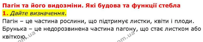 1. Дайте визначення. — ГДЗ робочий зошит Біологія 7 клас Кулініч