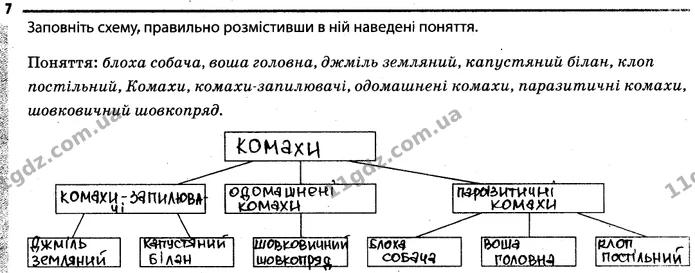 7. Заповніть схему, правильно розмістивши в ній наведені поняття. — ГДЗ Робочий зошит Біологія 7 клас Задорожний