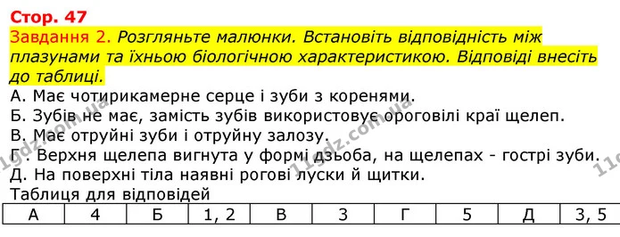 Стор. 47 — 2 — ГДЗ Робочий зошит з Біології 7 клас Яременко — ГДЗ Робочий зошит з Біології 7 клас Яременко