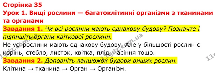 1. Чи всі рослини мають однакову будову? Позначте і підпишіть органи квіткової рослини. — ГДЗ Робочий зошит Біологія 7 клас Мирна 2024