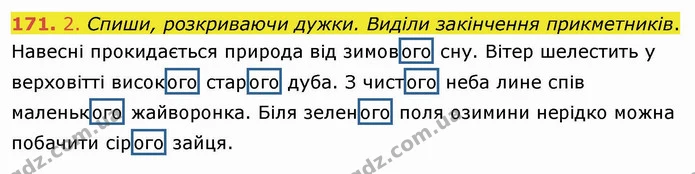 171. 2. Спиши, розкриваючи дужки. Виділи закінчення прикметників. — ГДЗ Українська мова та читання 4 клас Коваленко