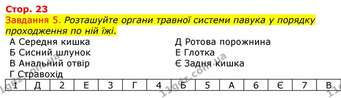 Стор. 23 — 5 — ГДЗ Робочий зошит з Біології 7 клас Яременко — ГДЗ Робочий зошит з Біології 7 клас Яременко