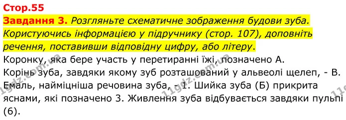 Стор. 55 — 3 — ГДЗ Робочий зошит біологія 8 клас Мирна — ГДЗ Робочий зошит біологія 8 клас Мирна
