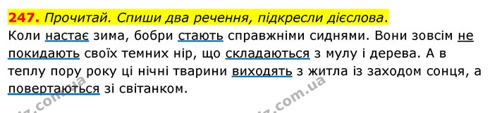247. Прочитай. Спиши два речення, підкресли дієслова. — ГДЗ Українська мова та читання 3 клас Кравцова (1 частина)