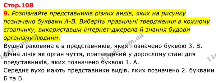 9. Розпізнайте представників різних видів, яких на рисунку позначено буквами A-B. Виберіть правильні твердження в кожному стовпчику — ГДЗ робочий зошит Біологія 8 клас Андерсон