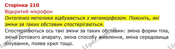 Стор. 210 — 1 — ГДЗ Біологія 8 клас Тагліна — ГДЗ Біологія 8 клас Тагліна