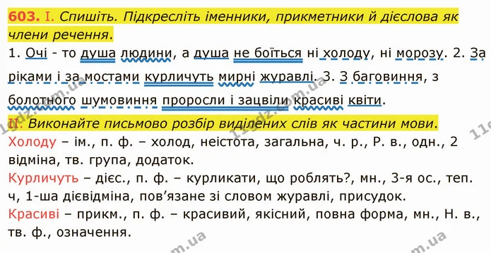 603. І. Спишіть. Підкресліть іменники, прикметники й дієслова як члени речення. — ГДЗ Українська мова 6 клас Заболотний 2019