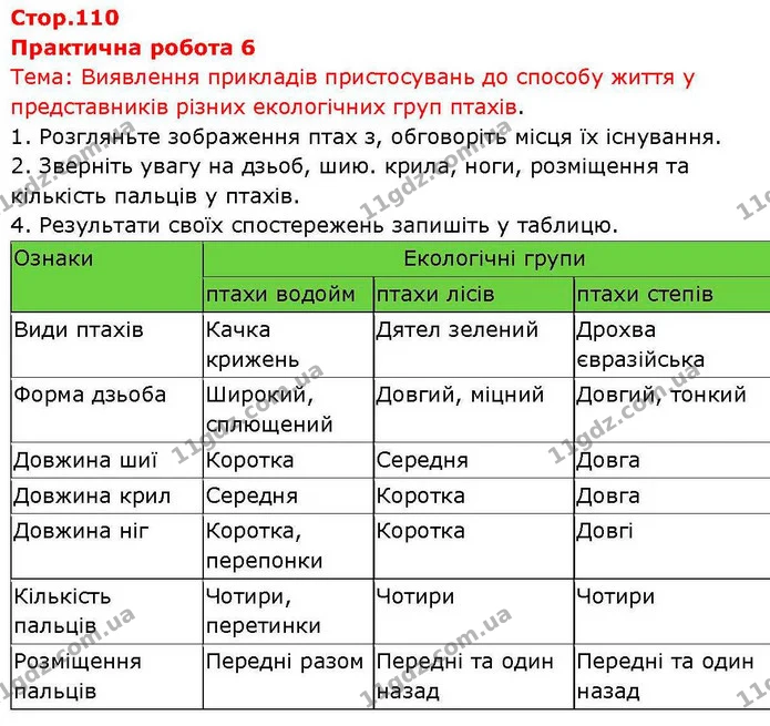Пр.6 (1) — ГДЗ робочий зошит Біологія 7 клас Кулініч — ГДЗ робочий зошит Біологія 7 клас Кулініч