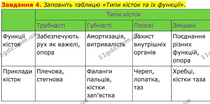 Стор. 39 — 4 — ГДЗ Робочий зошит біологія 8 клас Мирна — ГДЗ Робочий зошит біологія 8 клас Мирна