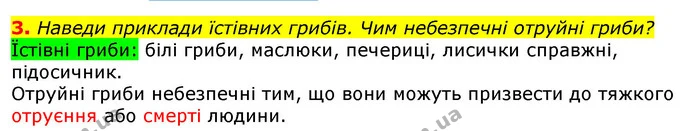 3. Наведи приклади їстівних грибів. Чим небезпечні отруйні гриби? — ГДЗ Природознавство 5 клас Коршевнюк