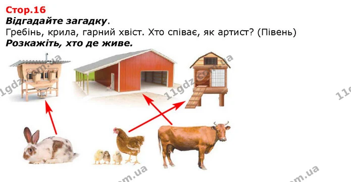 Відгадайте загадку. — ГДЗ Я досліджую світ 1 клас Гільберг