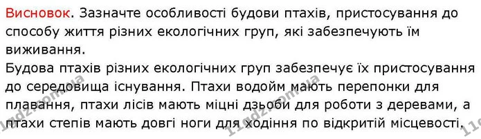 Пр.6 (2) — ГДЗ робочий зошит Біологія 7 клас Кулініч — ГДЗ робочий зошит Біологія 7 клас Кулініч