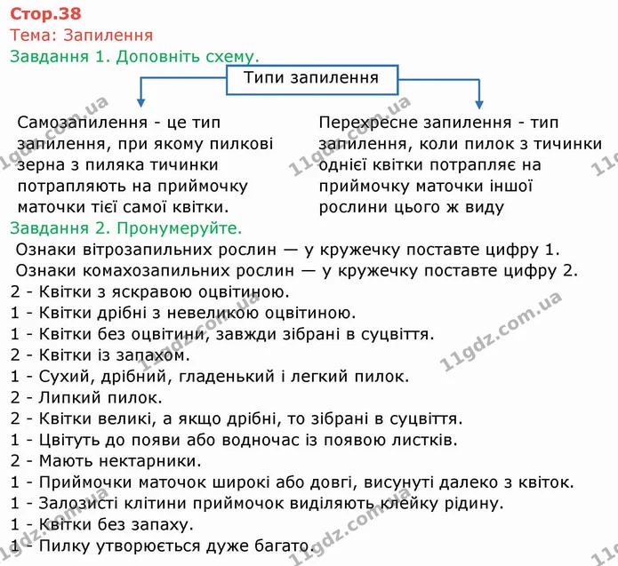 Стор. 38 — 1-2 — ГДЗ Робочий зошит Біологія 6 клас Мечник — ГДЗ Робочий зошит Біологія 6 клас Мечник