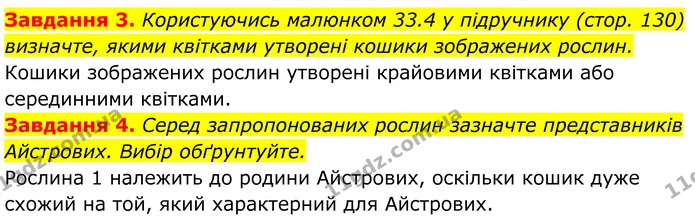 3. Користуючись малюнком 33.4 у підручнику (стор. 130) визначте, якими квітками утворені кошики зображених рослин. — ГДЗ Робочий зошит Біологія 7 клас Мирна 2024