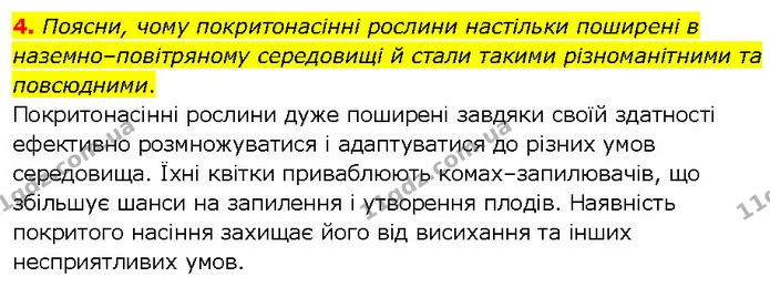 4. Поясни, чому покритонасінні рослини настільки поширені в наземно–повітряному середовищі й стали такими різноманітними та повсюдними. — ГДЗ робочий зошит Біологія 7 клас Тагліна