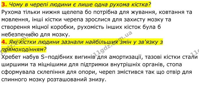 3. Чому в черепі людини є лише одна рухома кістка? — ГДЗ Біологія 8 клас Балан