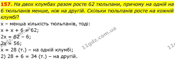 157. На двох клумбах разом росте 62 тюльпани, причому на одній на 6 тюльпанів менше, ніж на другій. Скільки тюльпанів росте на кожній — ГДЗ Алгебра 7 клас Істер 2024