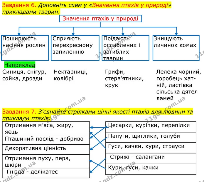Стор. 52 — 6-7 — ГДЗ Робочий зошит з Біології 7 клас Яременко — ГДЗ Робочий зошит з Біології 7 клас Яременко