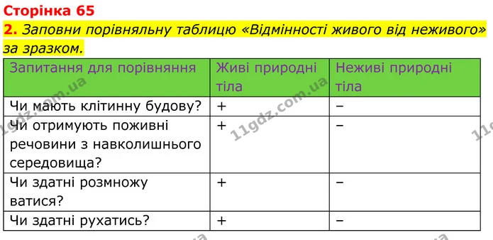 Стор. 65 — 1 — ГДЗ робочий зошит Пізнаємо природу 5 клас Коршевнюк — ГДЗ робочий зошит Пізнаємо природу 5 клас Коршевнюк
