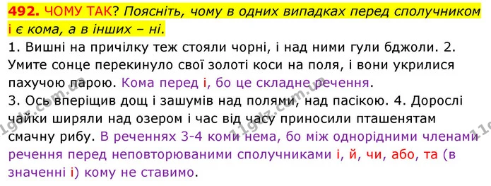 492. ЧОМУ ТАК? Поясніть, чому в одних випадках перед сполучником і є кома, а в інших – ні. — ГДЗ Українська мова 5 клас Заболотний 2022