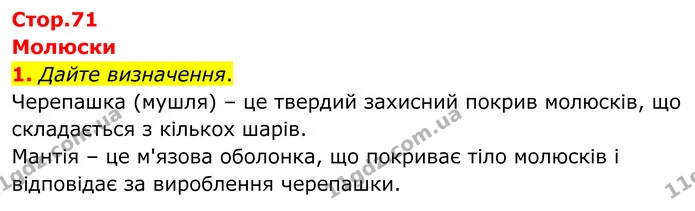 1. Дайте визначення. — ГДЗ робочий зошит Біологія 7 клас Кулініч