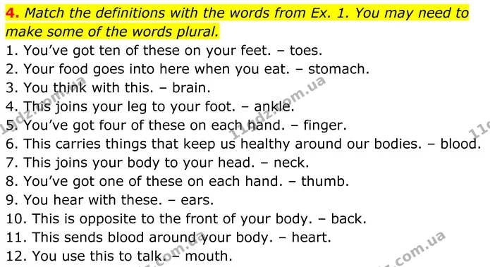 4. Match the definitions with the words from Ex. 1. You may need to make some of the words plural. — ГДЗ Англійська мова 7 клас Коста