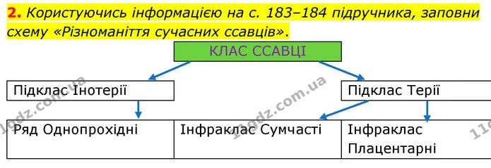 2. Користуючись інформацією на с. 183–184 підручника, заповни схему «Різноманіття сучасних ссавців». — ГДЗ робочий зошит Біологія 7 клас Тагліна