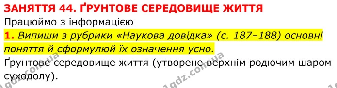 Стор. 62 — 4 — ГДЗ робочий зошит Пізнаємо природу 5 клас Коршевнюк — ГДЗ робочий зошит Пізнаємо природу 5 клас Коршевнюк