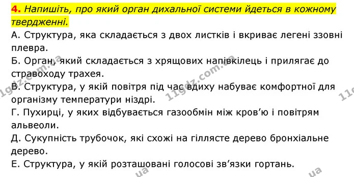 4. Напишіть, про який орган дихальної системи йдеться в кожному твердженні. — ГДЗ Робочий зошит Біологія 8 клас Задорожний