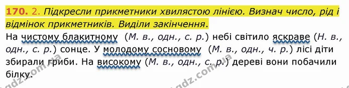 170. 2. Підкресли прикметники хвилястою лінією. Визнач число, рід і відмінок прикметників. Виділи закінчення. — ГДЗ Українська мова та читання 4 клас Коваленко