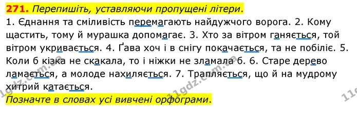 271. Перепишіть, уставляючи пропущені літери. — ГДЗ Українська мова 5 клас Глазова 2022