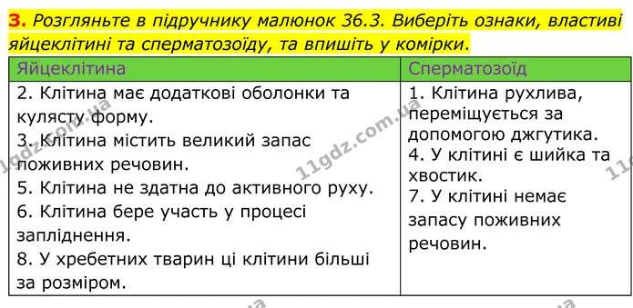 Стор. 59 — 3 (2) — ГДЗ робочий зошит Біологія 7 клас Кулініч — ГДЗ робочий зошит Біологія 7 клас Кулініч