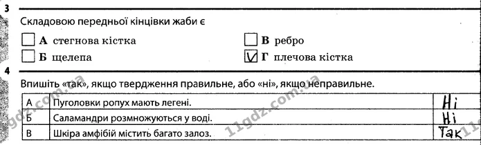 3. Складовою передньої кінцівки жаби є Г (плечова кістка) — ГДЗ Робочий зошит Біологія 7 клас Задорожний
